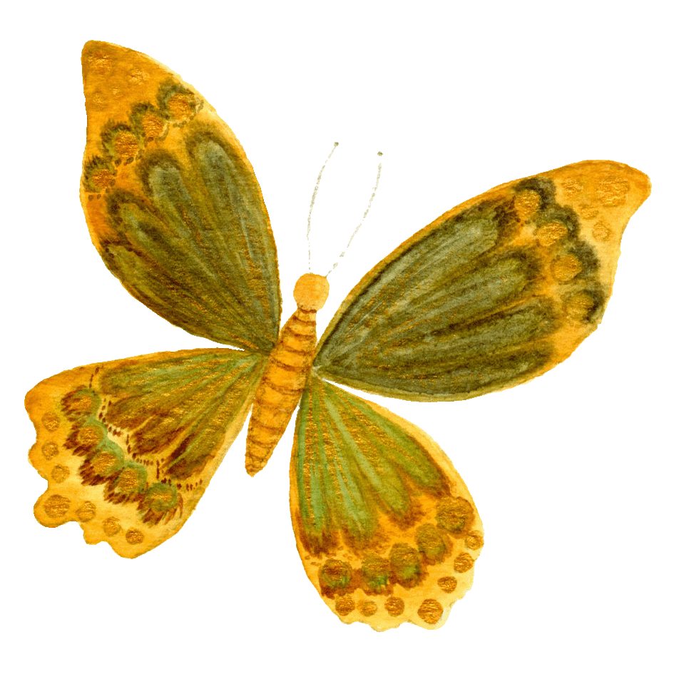 Schmetterling_fliegend